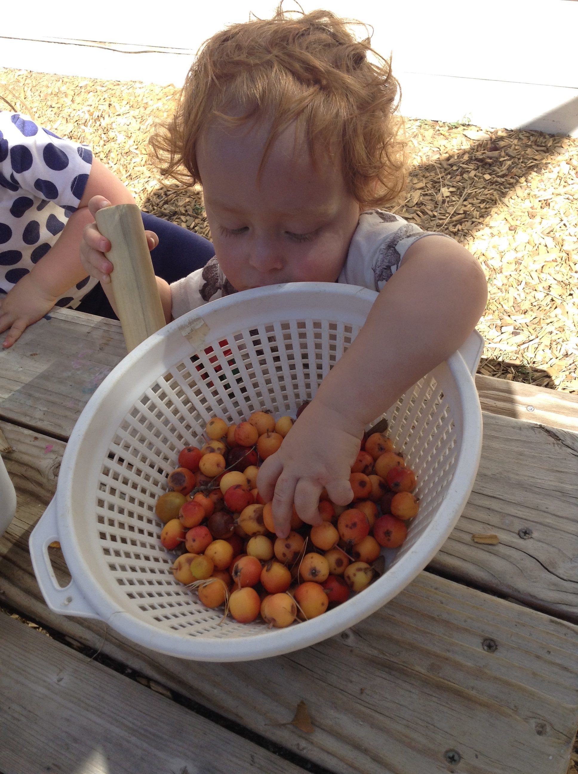 Patchwork Toddlers Crab Apples